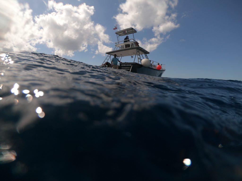 Bautismo de Buceo Schnuppertauchen Cozumel