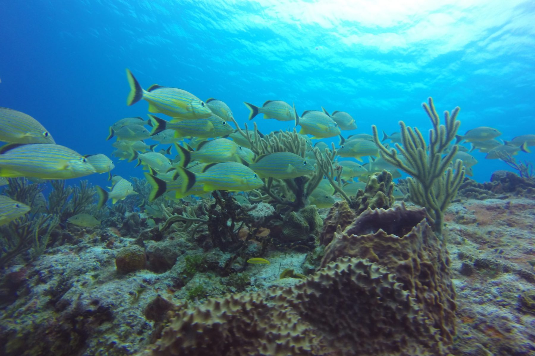 GOPR0699-1.jpg