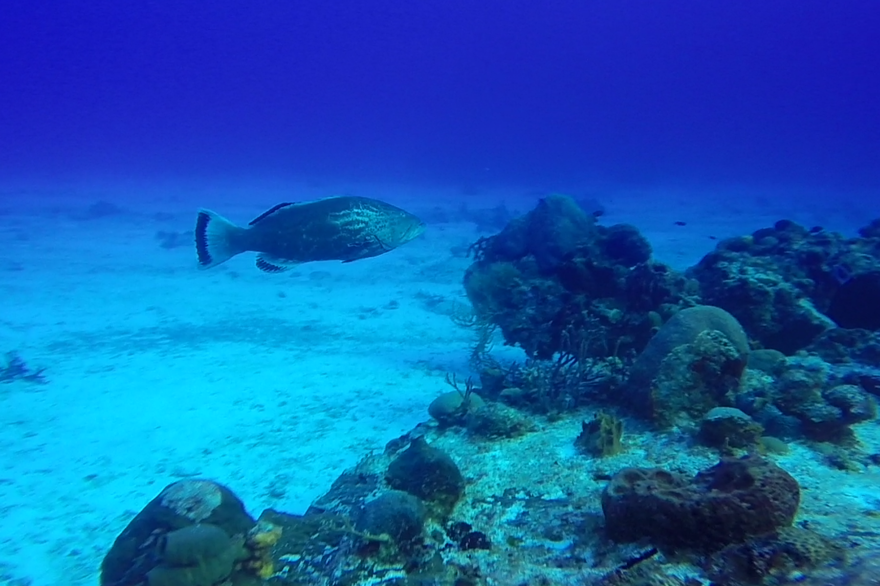 Screenshot_2018-01-17-14-37-09