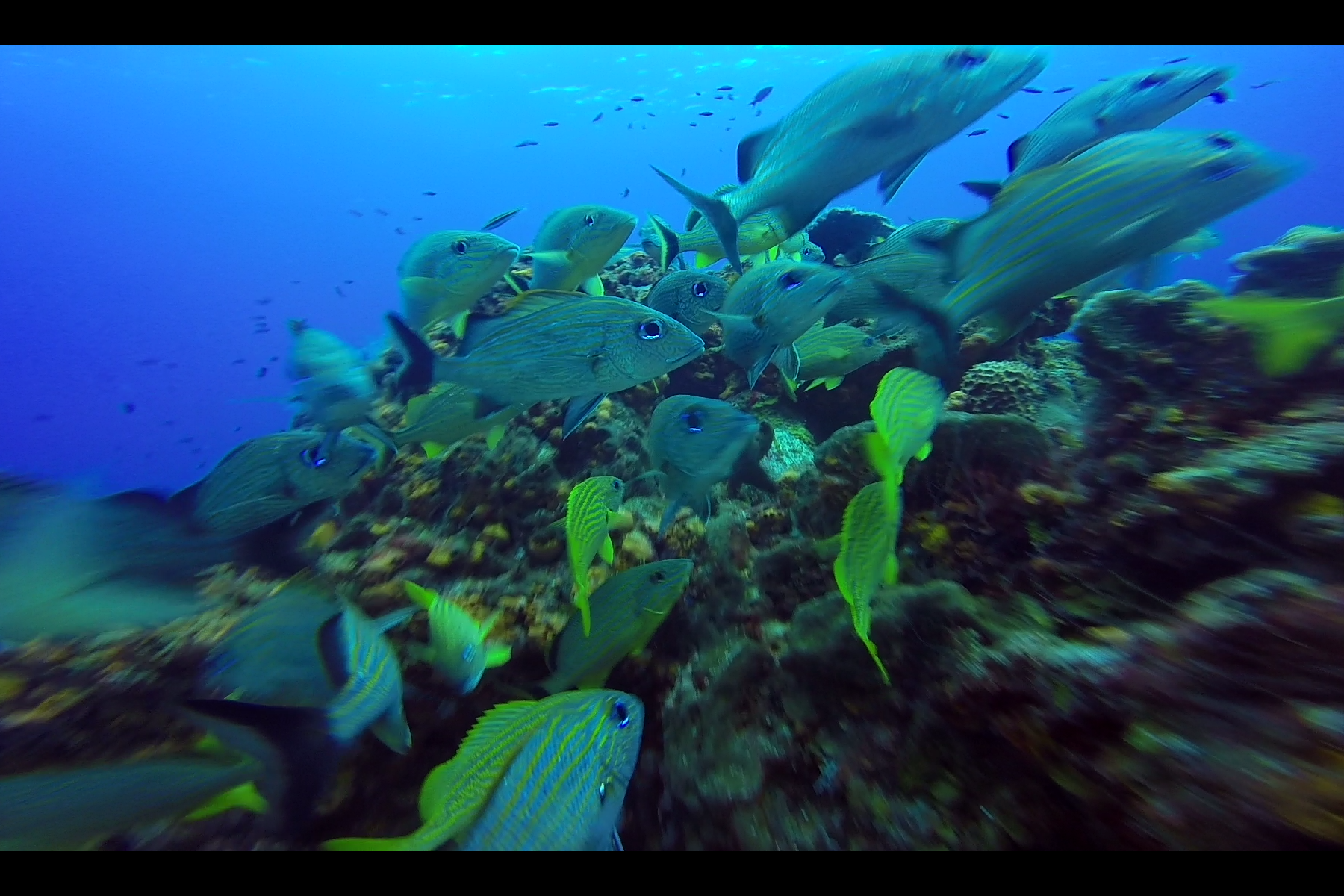 Screenshot_2018-01-17-14-50-17