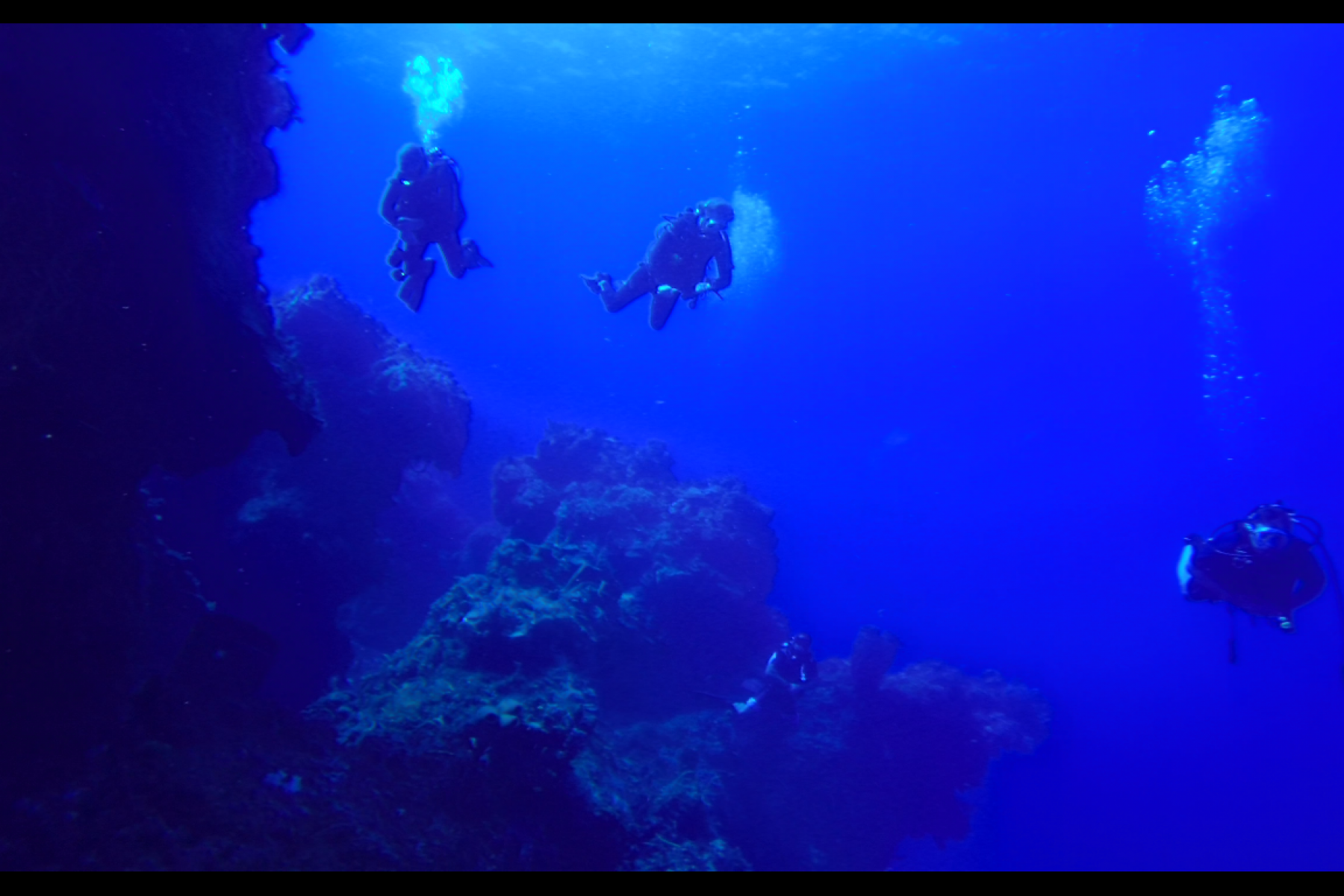 buzoes encoma de arrecife
